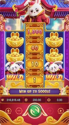 fw6624 · Fortune Rabbit